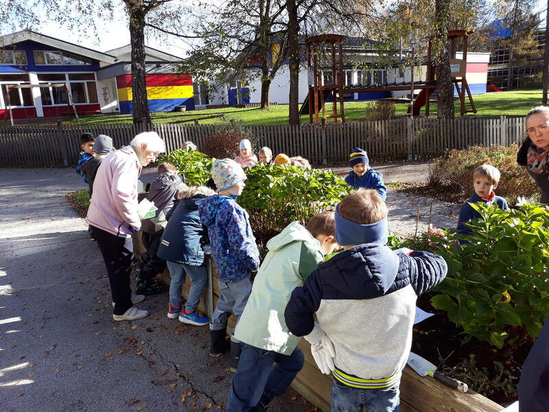 blumenzwiebel seniorenheim nov224