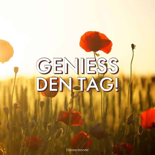 geniesdentag